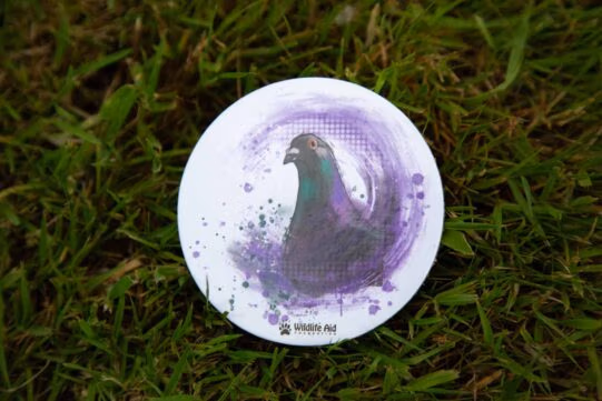 Coasters - Image 5