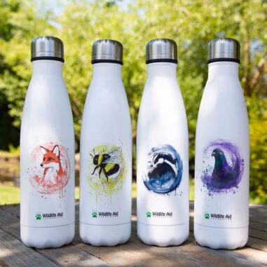 500ml Water Bottle