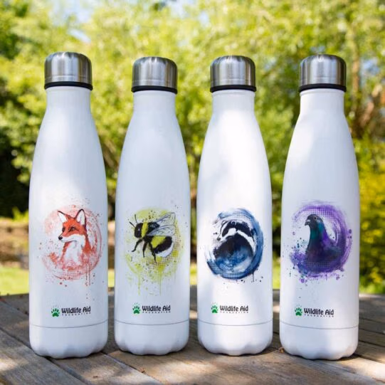 500ml Water Bottle