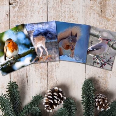 Christmas Gifts
