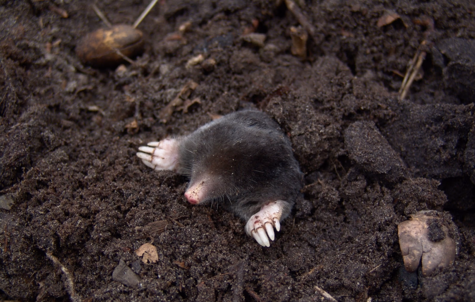 Screenshot 2026-03-16 at 17.16.26