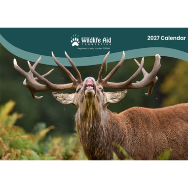 Wildlife Aid Calendar 2027