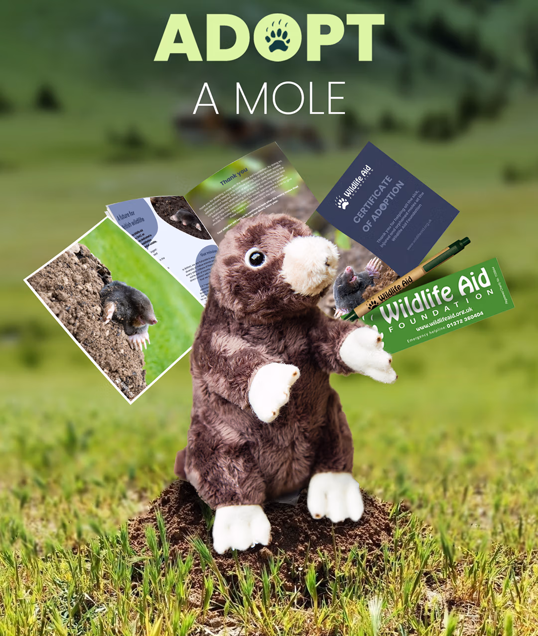 mole adoption pack