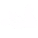 10 10