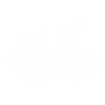 23 23