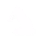 34 34